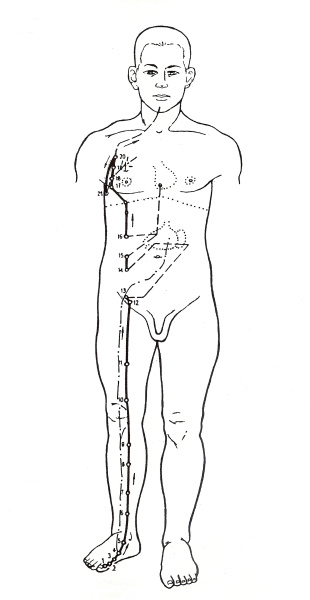 shiatsu2